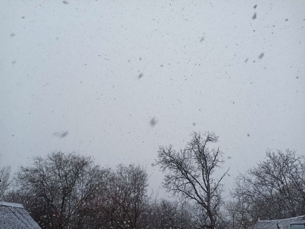 �������� ������ � ���������