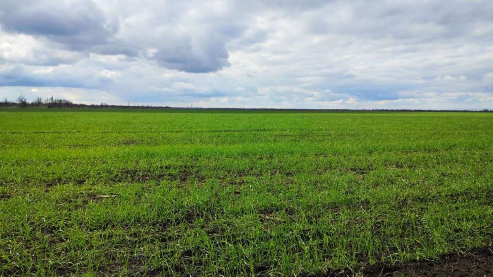 ��������� ����� ����� ��������� ��� ������ �������