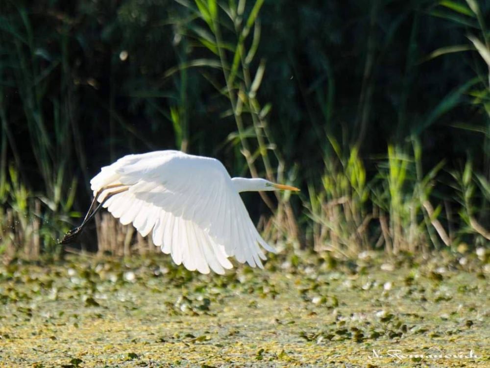 ������ ������� ��������� ���������� ���������� ������ ������� "������� �����"