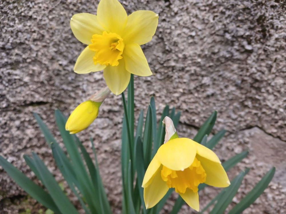 ������� �������� ������� � �����