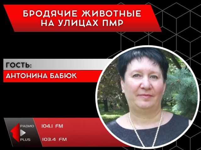 �������� �������� �� ������ ���