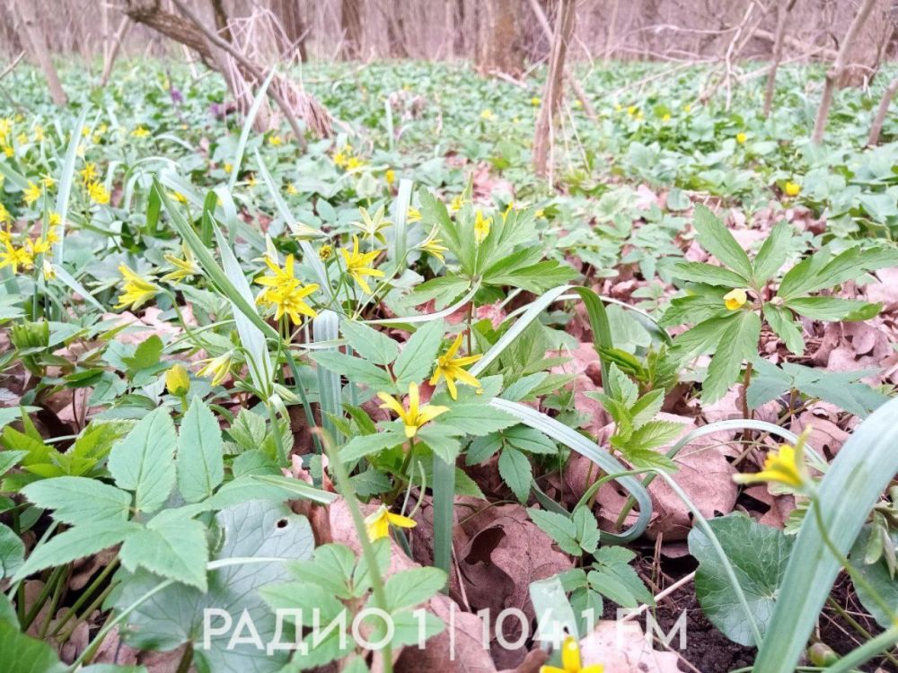 ����� �������� � �� ����� �����������������