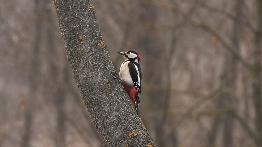 ��������� ���� � ����� ���������� � �����