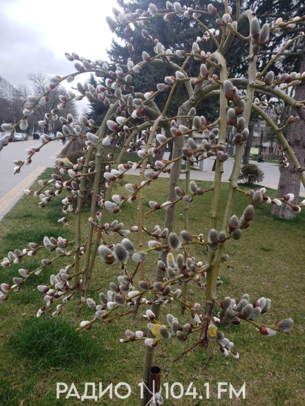 � ������������� �������� �����