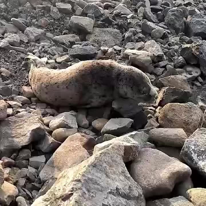 ������� ���� ���������� ������ ��������� ������ ���