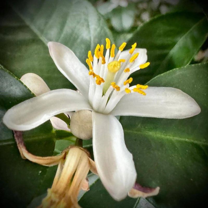 ��� ��� ����� �����.. ���� ������ ����������