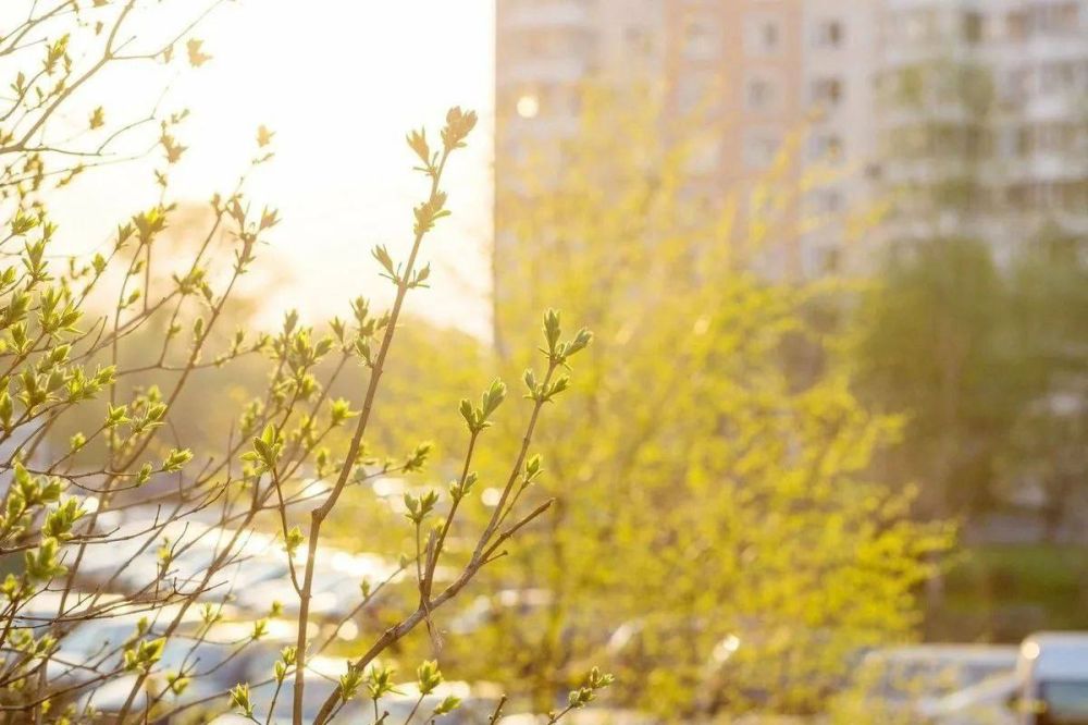 ��-���������� ����� ����� �� ��������� ������