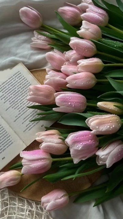 ������ ����!