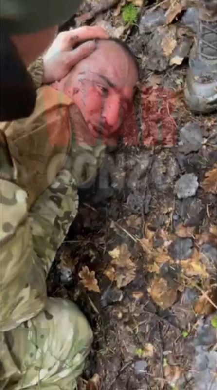 ��� ���� ����������� ���������