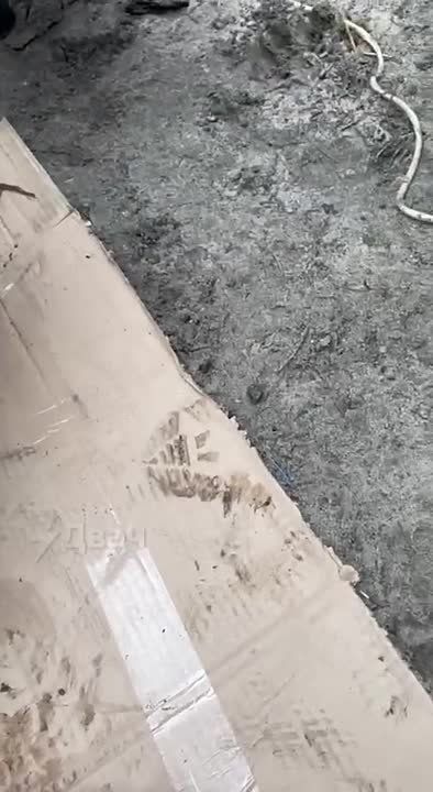 ������ ������!!!!. �������� �����������!!!! ���������� ����� �� 250 ��� ��� ��