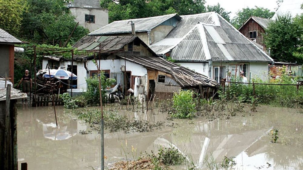 ����� �������� �� �����: � ������� �������� "���������" ��� ��-�� ������ ���������� - ����� �������� ���� � ����