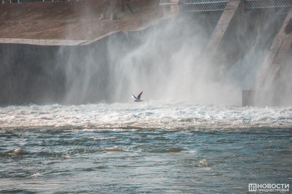 ������� ���� � ������� �� ������� ������-��������������� ��������� �� ���� ������