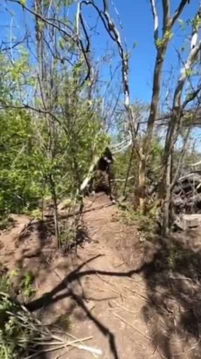 ������������ ������� �777 155 ����������� �����������������