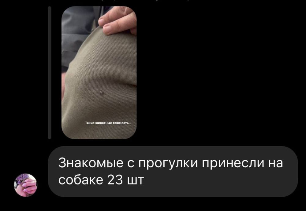 ������������� ����� �������� ����� � ����� ������ 23 �����