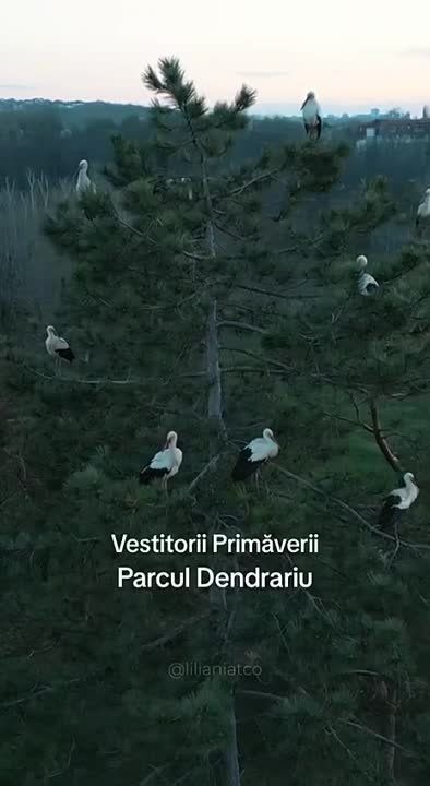 �������� ����� � ������� �� �������� ���� ���������� �������� ������ ����