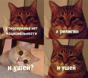 ����� ���� ������, ����� ���� ������