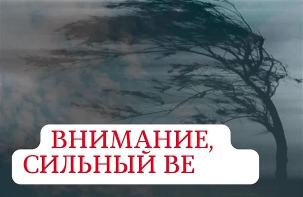 �� ������ �������������� 25 ����� � ����� 26 ����� �� ���������� ��������� ������� �������� ������-��������� ����� �������� �� 15-18 ������ � �������