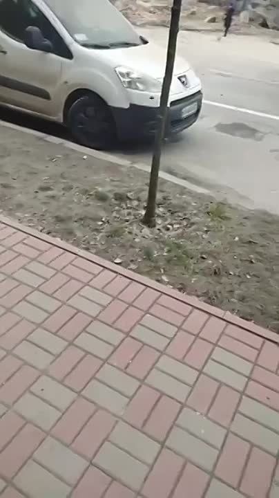 ���� ����� �������� �����