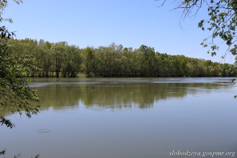 ������� ���� � ������� � ��������� ��� ���������� �� 0,8-2,3 �����