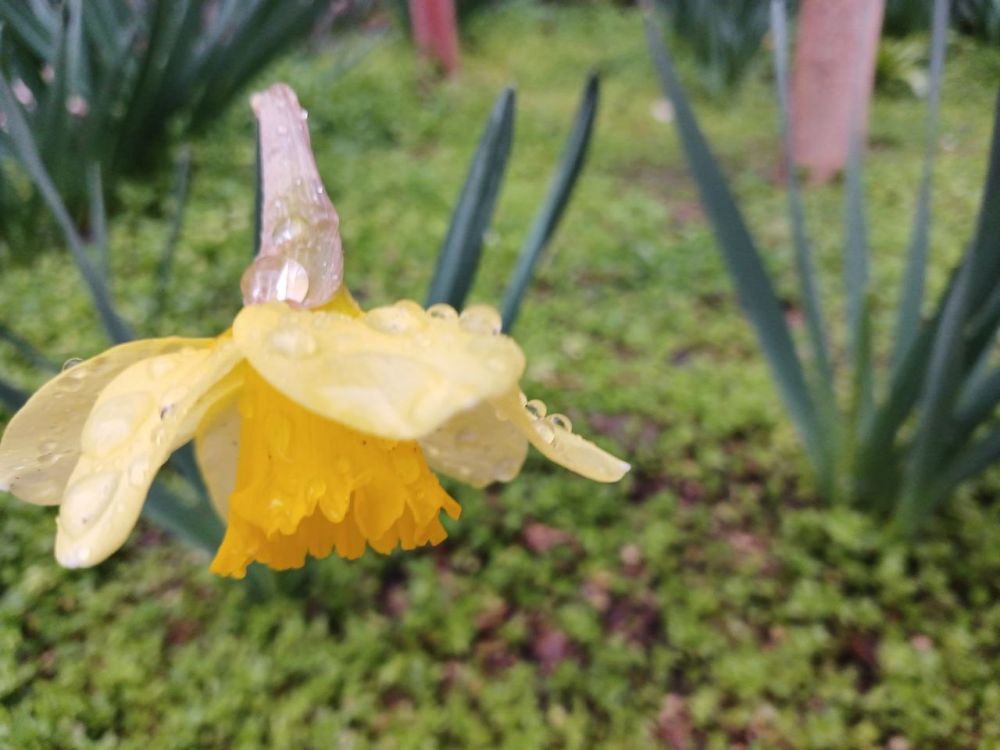 ��� ������� ��������� ����� �� ����� �� � ��, 26 ����� ��������� �������� ���� � ������������ ������, ����� � ����� ������� ��������������� �����