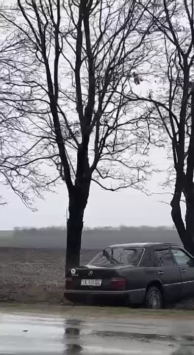 Авария по дороге в Григориополь