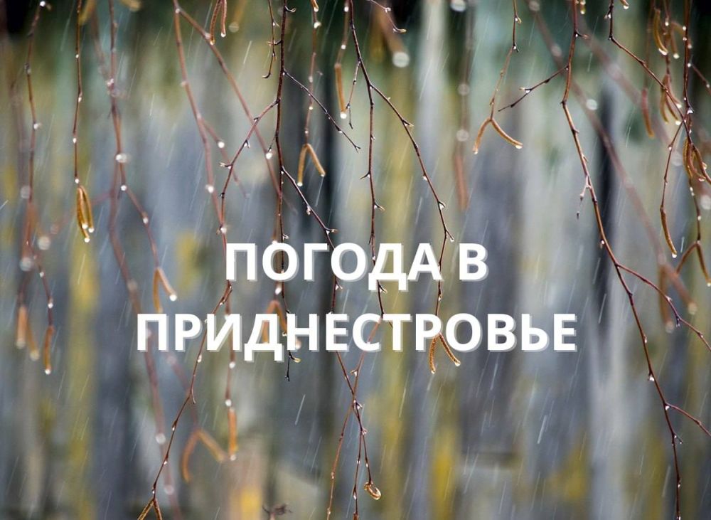 25 ����� ��������� �������� ������, ��������� �����, ���� ������� �������