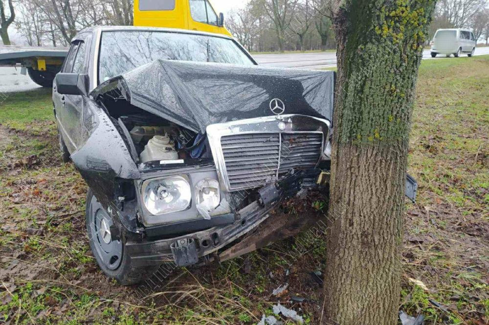 ������ ������ ������. ������ ��������� 25 ����� ����� �� ���������� ��������� � �������, ����� �. ������ � �. ������������