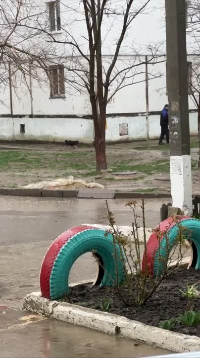 ��� ���������� ��� ������ ������