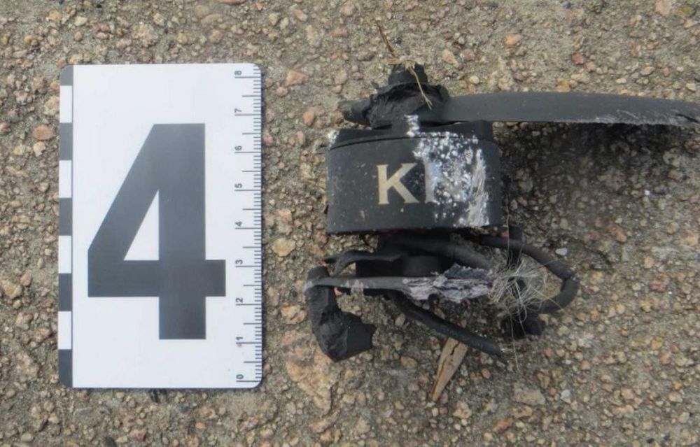 ������������ ������� ����������� ���������� ������������ �� ����� ������� ������������� � ����������� ������ �����: ������������� ���������, ��������� ����, ����������� ���� � ��������� �������