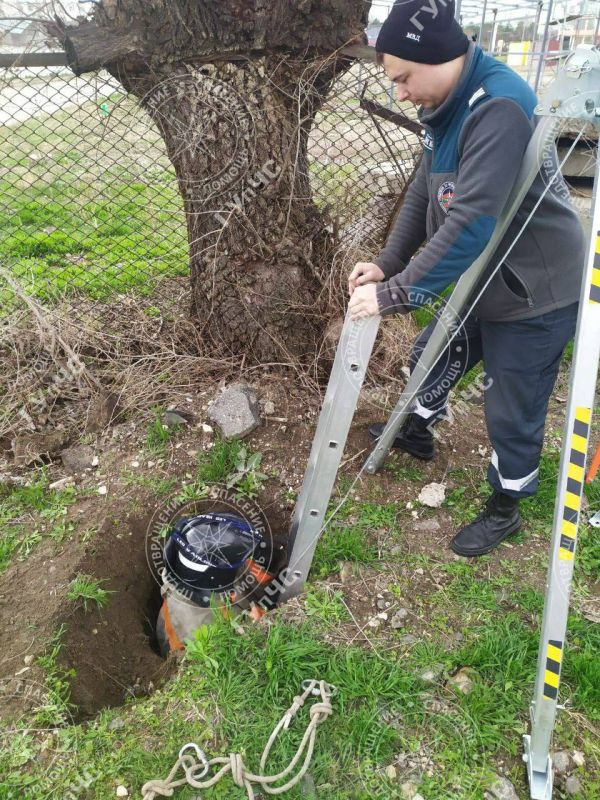 ���������� ��������� �������� ������ �� ������������ �������