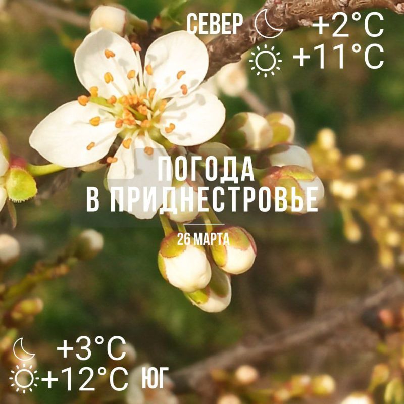 ������� � �� +12��. ��� �������