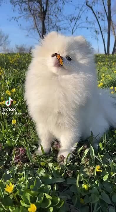 �������-�� �����!