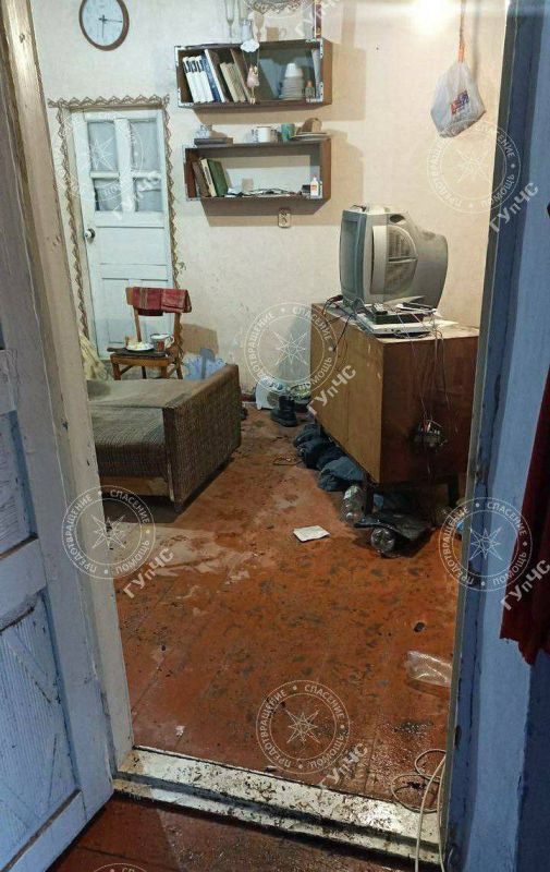 ��� ���� ����� ��-�� ������� � 48-������ ������ ������� ���� �� ������ � ���� ����