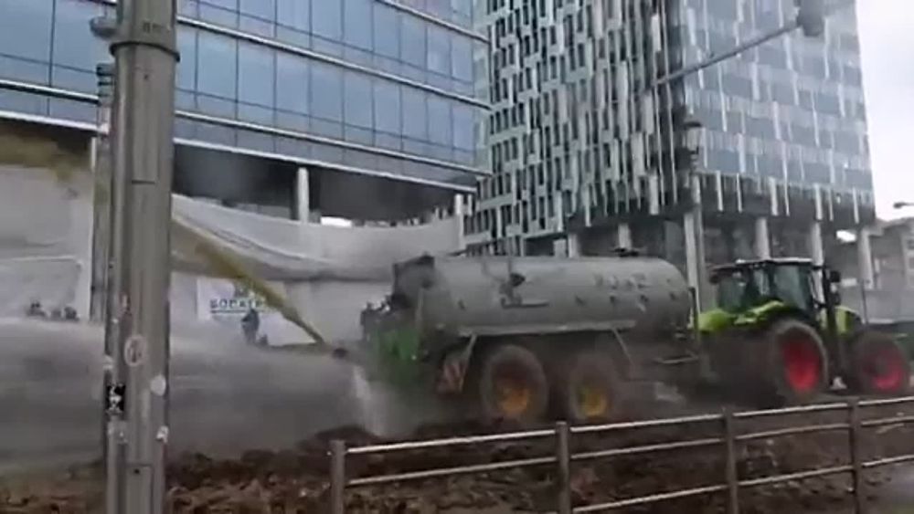 ����� ������ � ���� � ��������