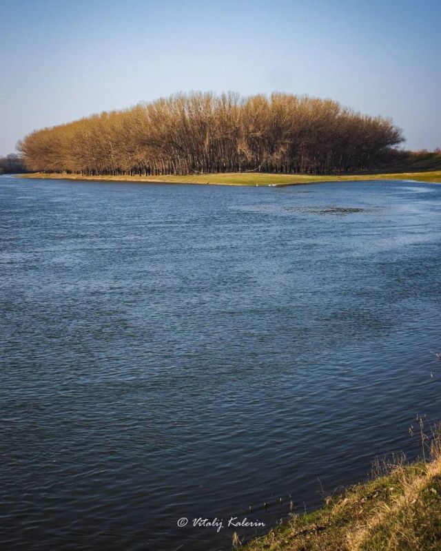 ������� �����������. ���������� �� ����������������� ������ ������� ��������