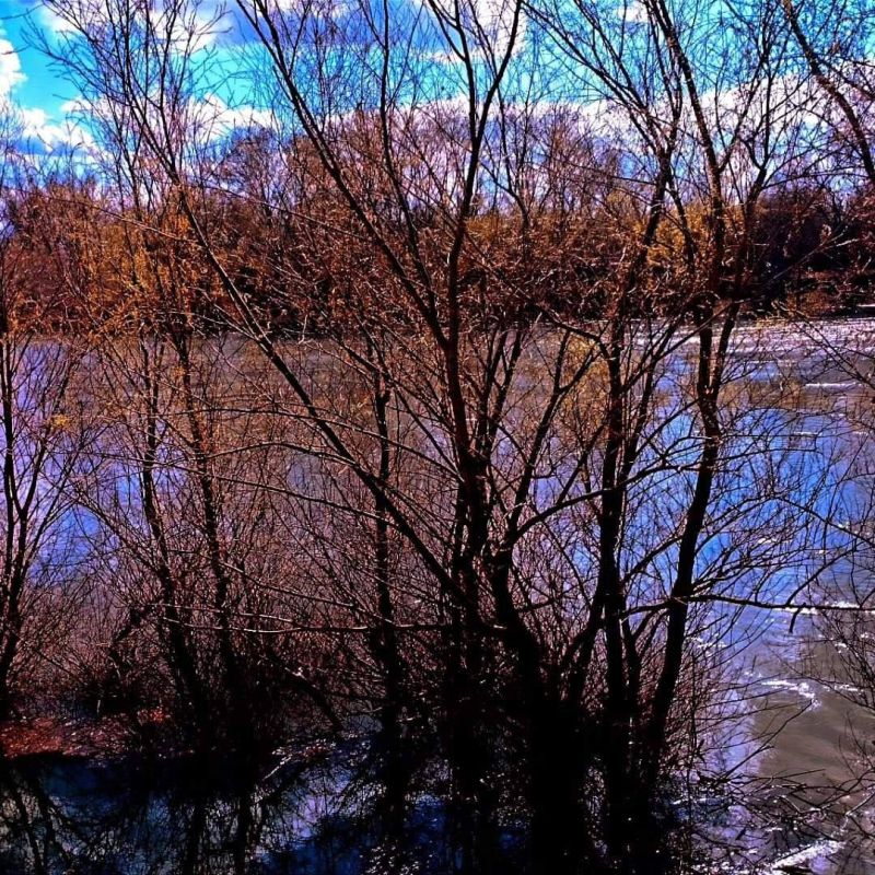 ������ � ���������.. ���� ������� ���������