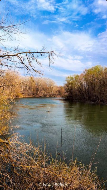 � �������� �������.. ���� ������� ��������