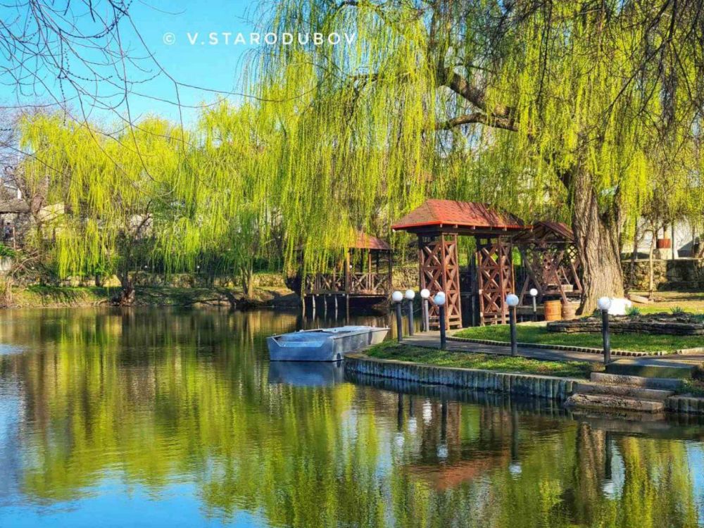 ������������ �����.. ���� ��������� �����������