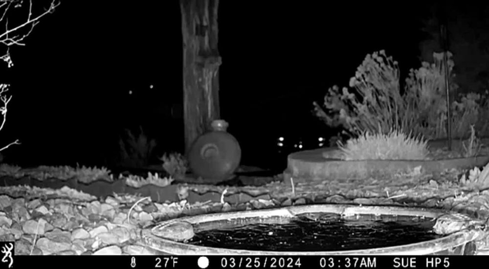 ����������� ������� ���������� ������ � ���� �������� �� �������� �����