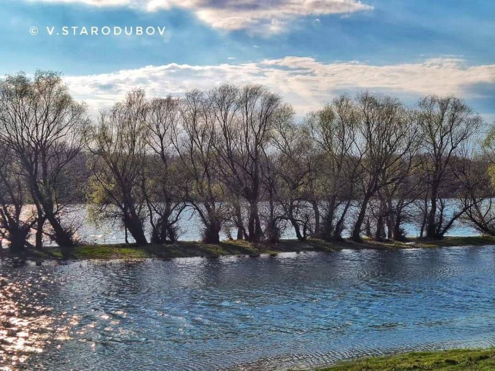 ������ �������.. ���� ��������� �����������