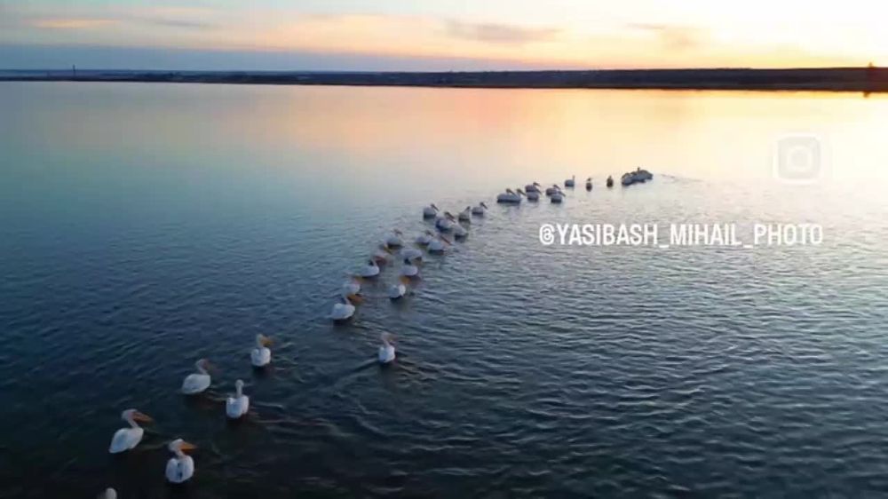 ��� �������� �������� ��������� � ������� � ���������� ������