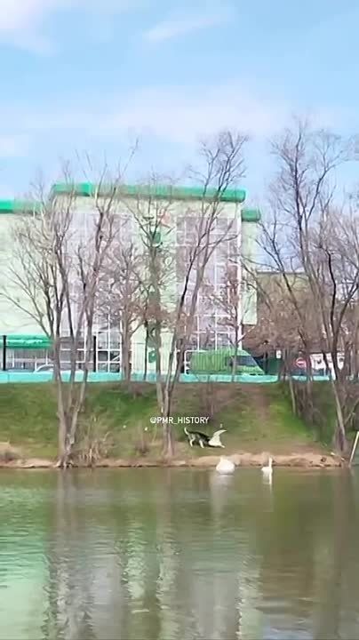 ������ ������ ����� ������ �� ������ � �������������� ����� �� ������ � ����������� � ������