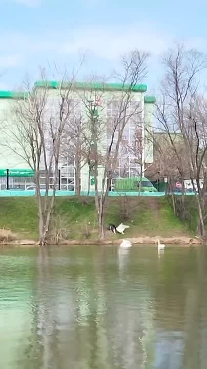 ��� �����, �� ������� ������ ������� ������, � ������� � ������� �������� � ��������