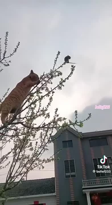 ���� ���� - �� ���� �����������!