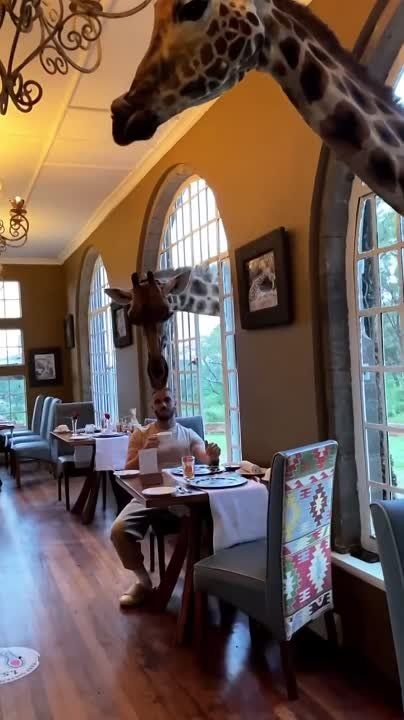 � ����� ���� ���������, ��� ������ ������ �����