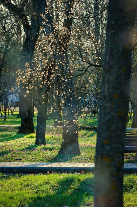 �������� ��������� � ����� �������