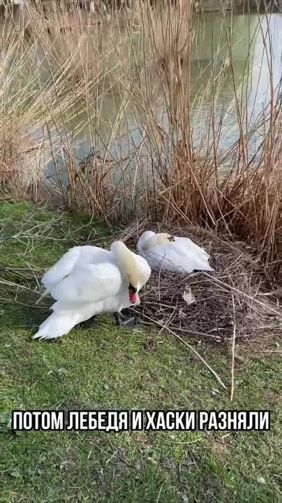 ������, �� �������� ������ �����, ������ � ������ �� ������ � �������� ����