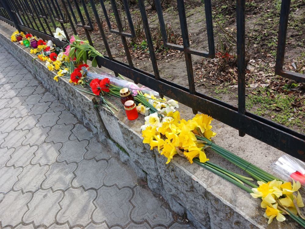 ������ 5 ���� � ������� ��������� ������� � �����������