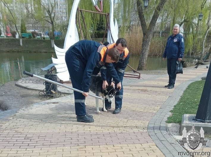 ������� � �������������� ����� ������ ������ ����� ������ �� ������ � �����