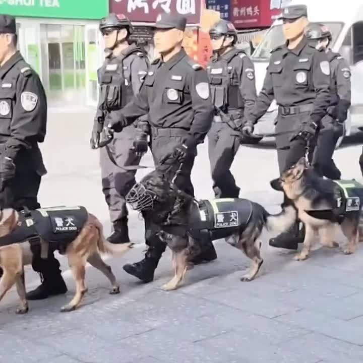 ����� �� ������ �� ��� ������� ����������� �� ����� ������� � ���� ����������